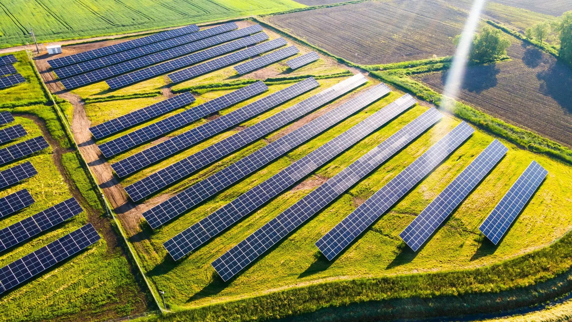 Luftaufnahme eines Solarparks auf grünen Feldern, sonnige Tag, erneuerbare Energien.