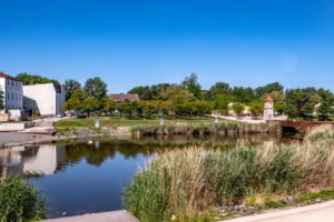 Teich mit Schilf, umgeben von Bäumen und historischen Gebäuden unter klarem blauem Himmel in einer ruhigen Parklandschaft.
