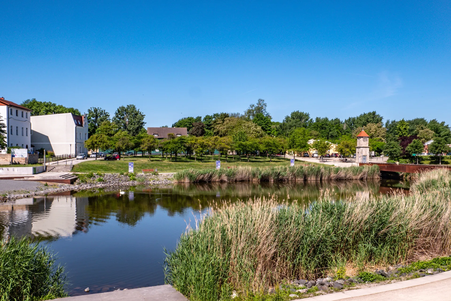 Teich mit Schilf, umgeben von Bäumen und historischen Gebäuden unter klarem blauem Himmel in einer ruhigen Parklandschaft.