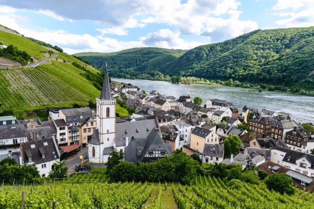 Ansicht eines deutschen Weinbergs mit Dorf und Fluss im Hintergrund, umgeben von grünen Hügeln und blauen Himmel.